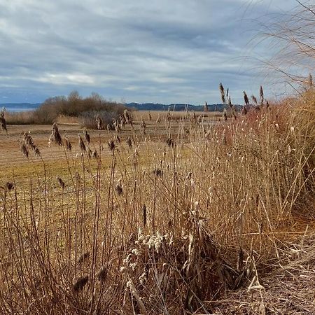 Tiny X Im Marxhof Seebruck Am Chiemsee Seeon-Seebruck Exterior foto