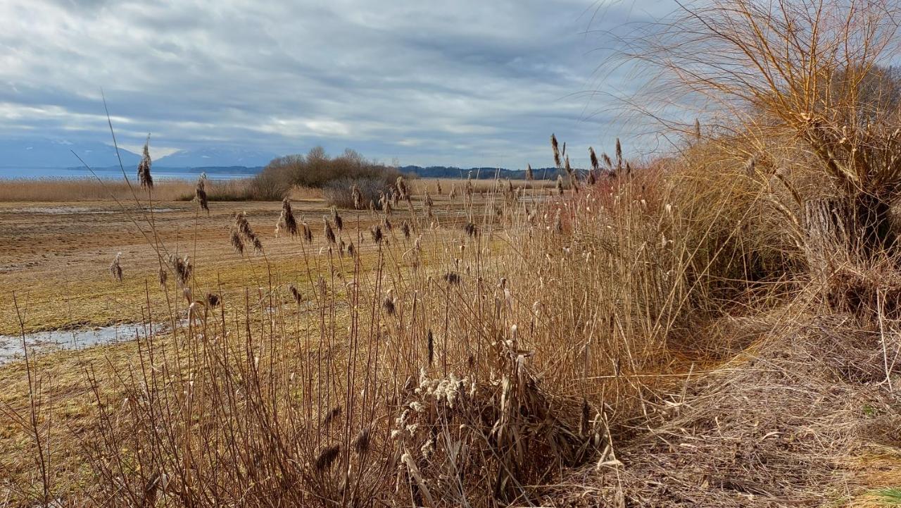 Tiny X Im Marxhof Seebruck Am Chiemsee Seeon-Seebruck Exterior foto